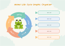 Animal Life Cycle Graphic Organizer