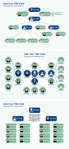 Company Hierarchy Presentation