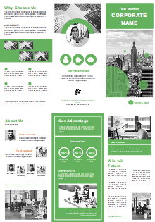 Company Vision Brochure