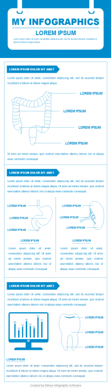 Human Organ Infographic