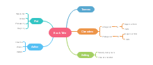 Make Book Summary Mind Map