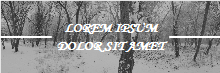 Winter Forest Twitter Header
